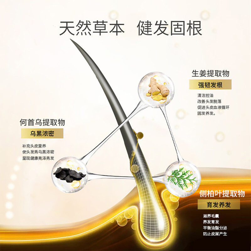 阿道夫(ADOLPH)生姜防脱育发洗发水套装400ml(80ml*5)