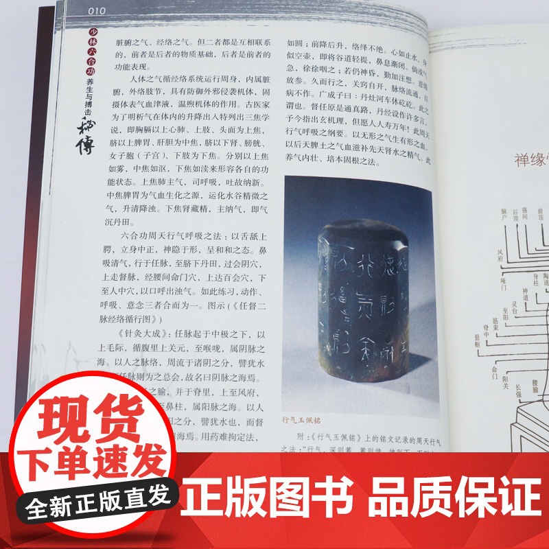少林六合功养生与搏击秘传 养生拳谱全书少林禅功养生法武医双修禅拳合一书籍高清大图