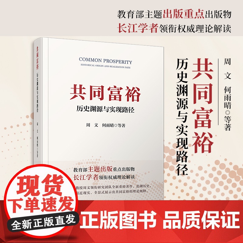 共同富裕:历史渊源与实现路径 周文,何雨晴著 教育*主题出版*点出版物,长江学者领衔权威理论解读 复旦大学出版社高清大图