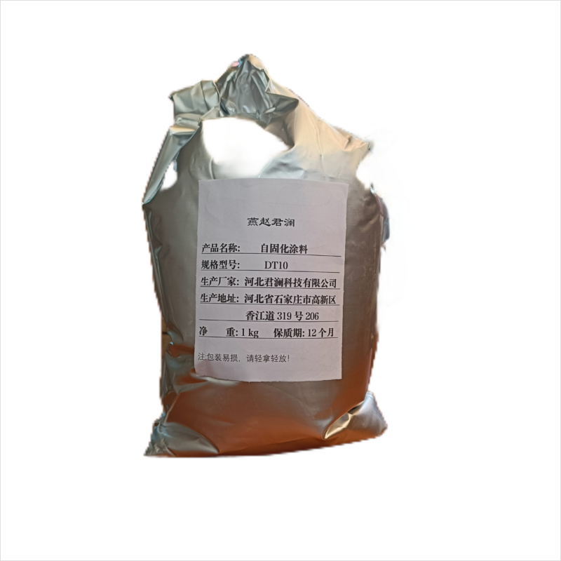 玉楸子 自固化涂料DT10 1kg/袋