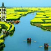 兴化千垛油菜花风景区含游船