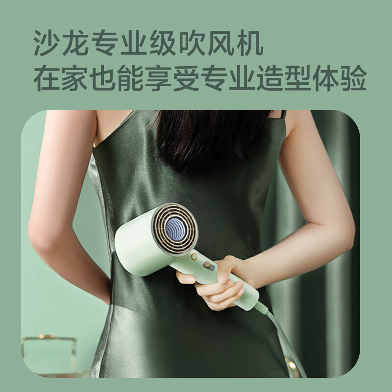 飞科(FLYCO)电吹风机 柔风负离子恒温护发家用宿舍用冷热大风量快速干发低噪音吹风筒礼物送女友FH6310绿
