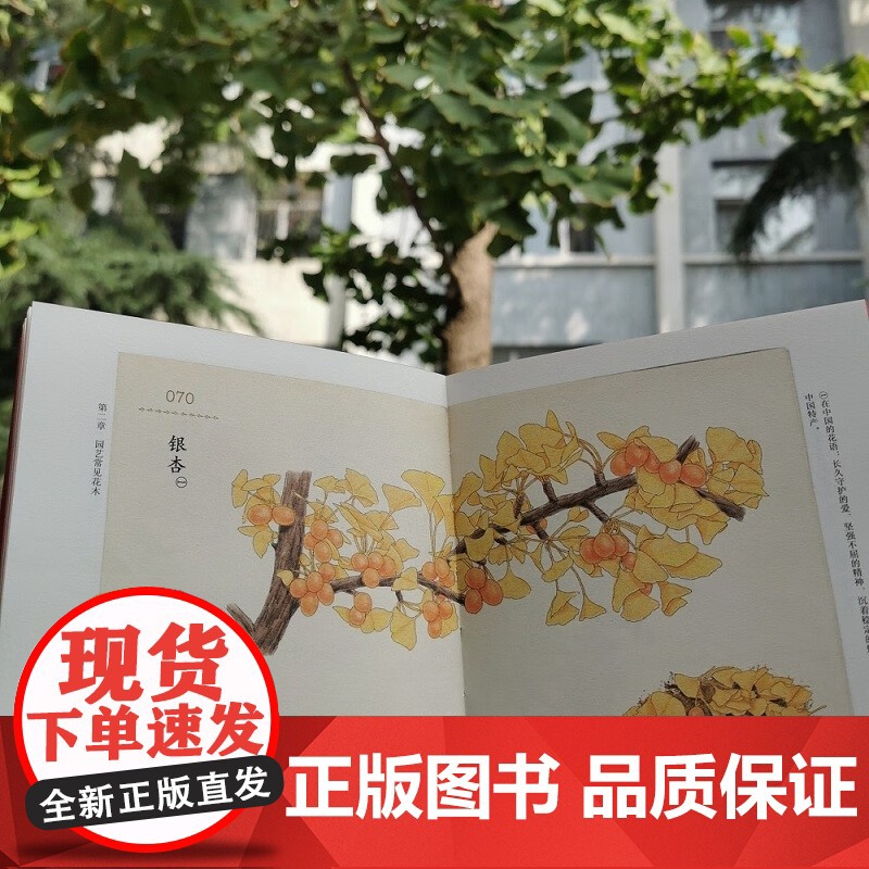 四时花草逐时新 一百零五种花语及故事 稻垣荣洋 著 文化高清大图