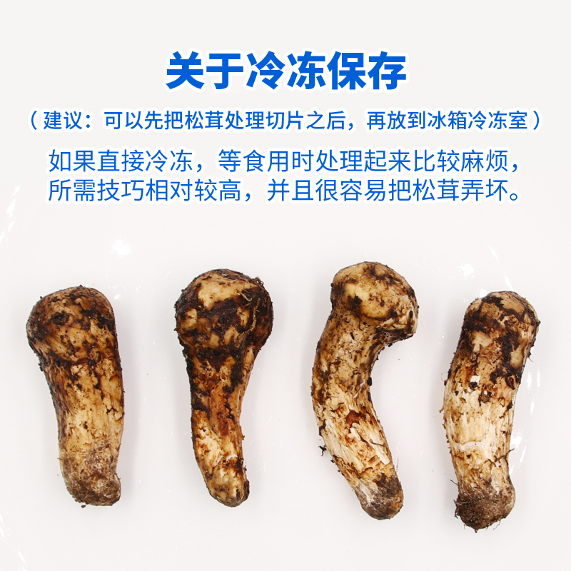 新鲜松茸 非云南香格里拉 四川甘孜野生菌菇未开伞 火锅食材礼盒装7cm-9cm 500g