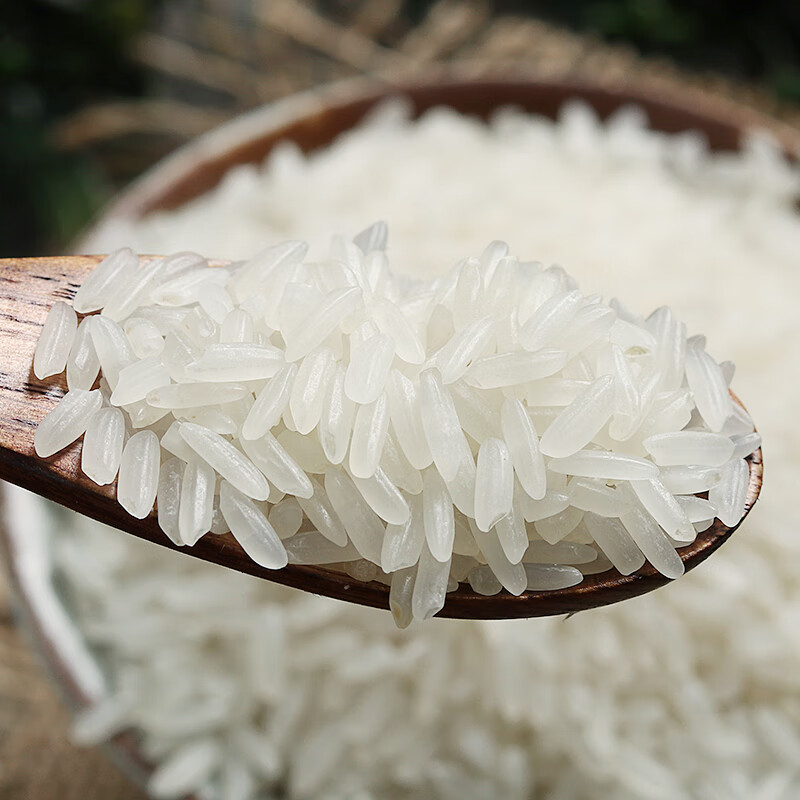 万年贡 香软长粒大米 南方大米 丝苗米 籼米 万年贡米500g*1袋高清大图