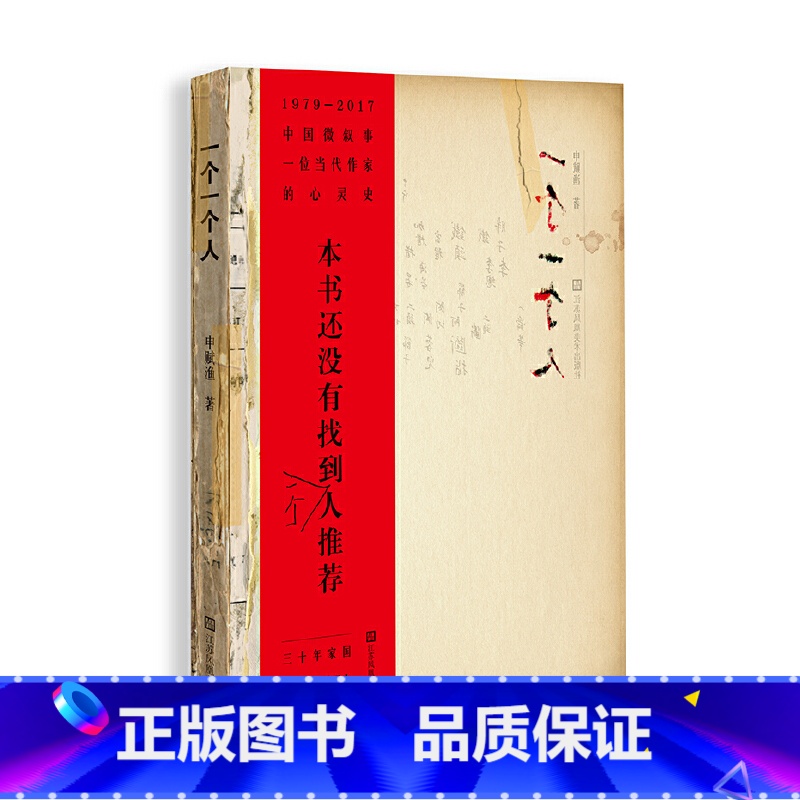 【正版】 书籍一个一个人 申赋渔 名家经典散文集随笔书籍网易云热评书籍叙述身边形形色色的人来描绘时代烙印