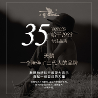 天鹅(Tian E)口琴初学者高级成人儿童24孔专业复音c调口风琴入门自学乐器 抖音