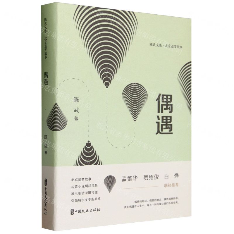 [N]偶遇(北京追梦故事)(精)/陈武文集-9787520542197高清大图