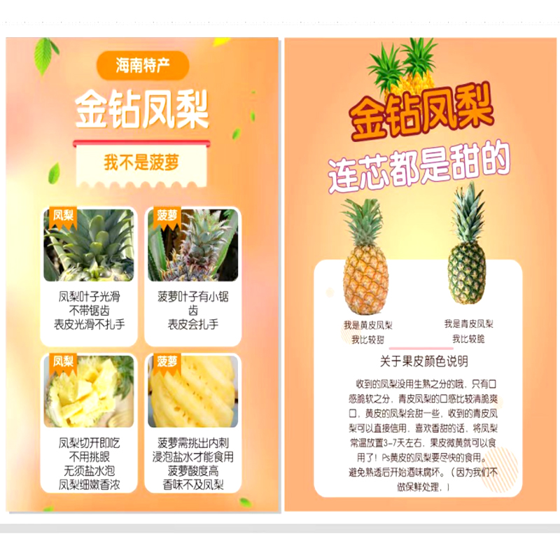 [熊猫鸟]海南金钻凤梨 净重3斤 中果 单果650-1000g 金钻凤梨当季热带水果香甜可口产地直发高清大图