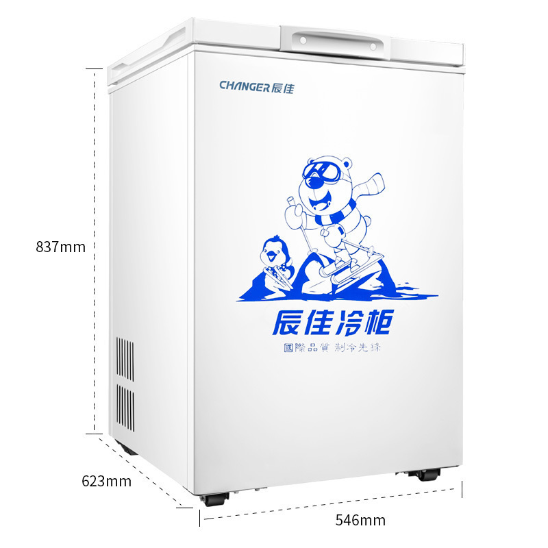 辰佳 (Changer)BC/BD(W)-100 100升家用小型冰柜冷藏冷冻转换冷柜 白色