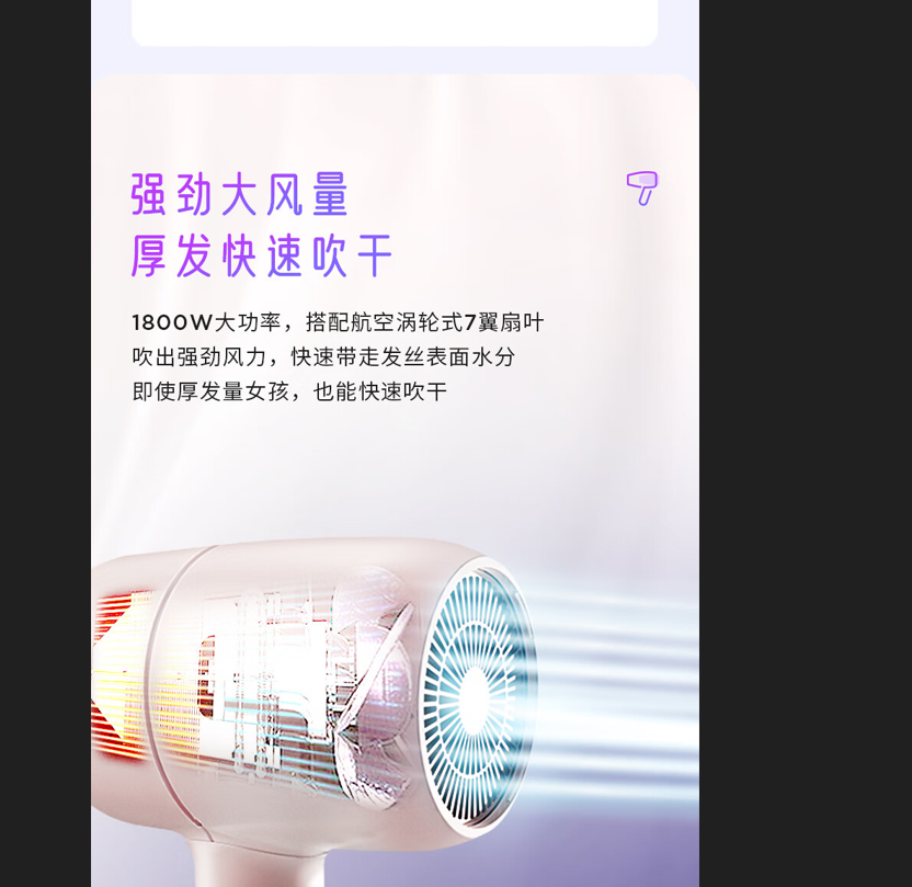 西屋 H103 吹风机高清大图