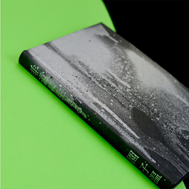 [正版]用电影燃尽欲望 园子温著 随笔集电影随笔 电影台前幕后 艺术影视 书籍 作品入选欧洲三大电影节高清大图