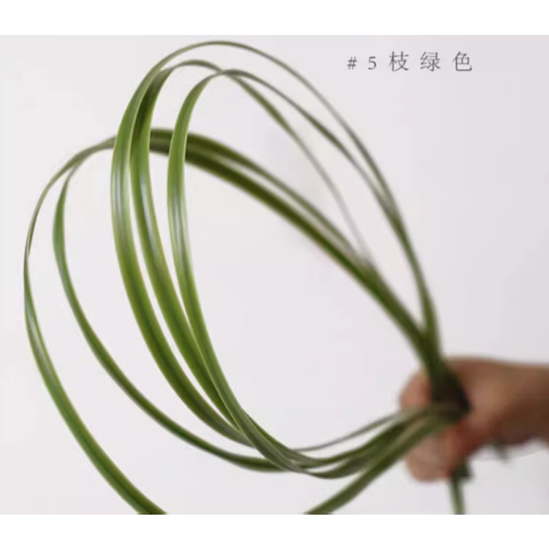 水蜡叶 绿色10支/把高清大图