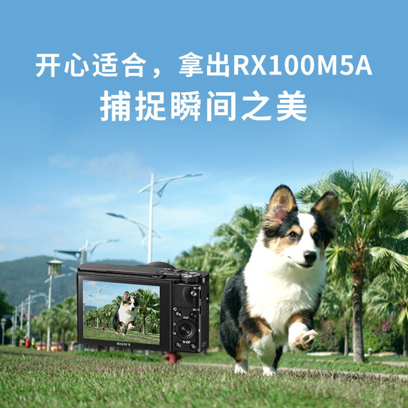 索尼 DSC-RX100M5 黑卡数码相机 单位:台