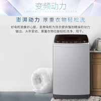 海尔(Haier)洗衣机全自动波轮8公斤大容量直驱变频节能 一键启动操作XQB80-BZ1269
