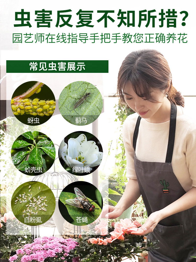 皎洁 高效氯氰菊酯花卉杀虫剂500ml/瓶高清大图