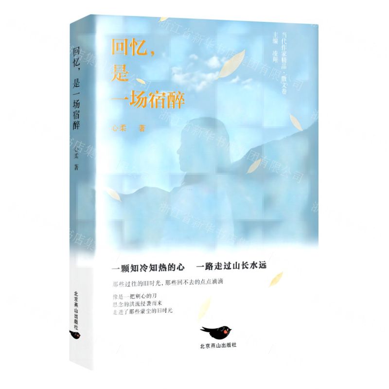 【N】回忆是一场宿醉/当代作家精品-9787540263843