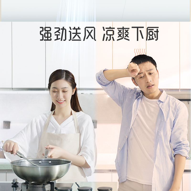 奥普(AUPU)浴霸凉霸W13厨房夏凉霸吸顶式吹风扇10cm薄箱体适配集成吊顶安装厨卫冷风机嵌入式冷风扇90度散热凉风扇