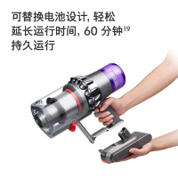 戴森(Dyson)V11 Complete Extra 无绳吸尘器更全配置60分钟地面续航 除螨仪 手持吸尘器
