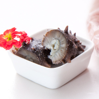 珍品堂好发速食纯干海参礼盒装22g辽刺参非即食海参旗舰店孕妇