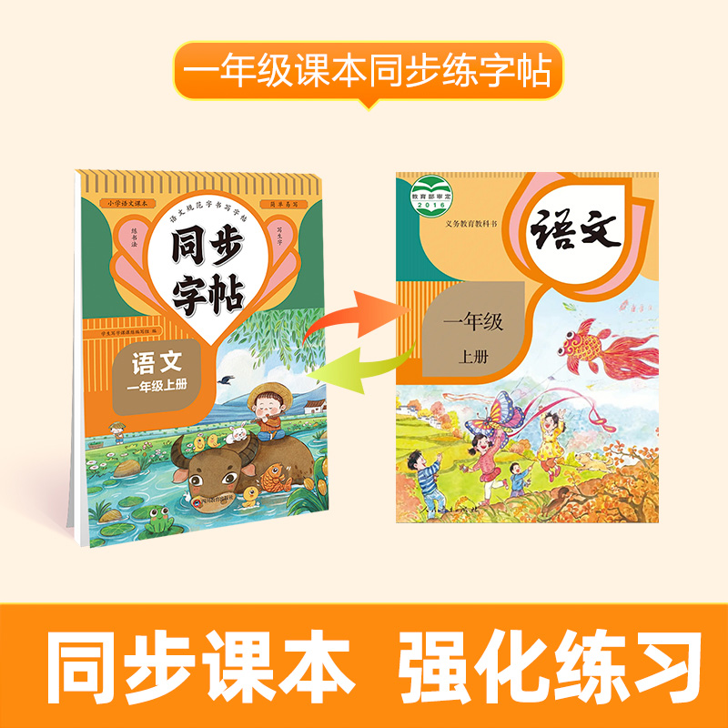 ⭐[一年级上册+下册]语文同步字帖2本 小学通用 [正版]同步字帖 生字每日一练 语文英语临摹初学者练字语文英语字帖练高清大图
