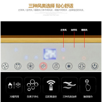 澳柯玛(AUCMA)空调扇LRG5-MD09(Y)遥控定时 冷暖两用 加湿净化 冷风扇电风扇空调伴侣