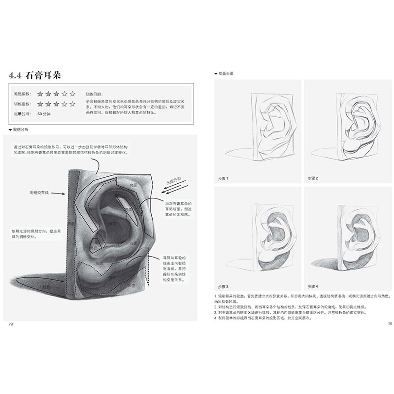 正版新书]美院直通车 素描头像从入门到精通灌木文化97871155200高清大图
