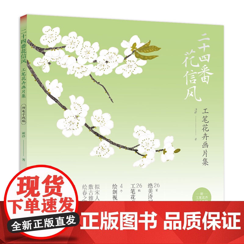 二十四番花信风 工笔花卉画片集 附教学视频/花笺 工笔画花卉技法白描底稿勾线稿中国风古风花鸟小品初学者基础入门教程临摹册高清大图