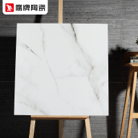 鹰牌瓷砖现代简约客厅地砖防滑全抛釉地板砖釉面砖800X800山水白