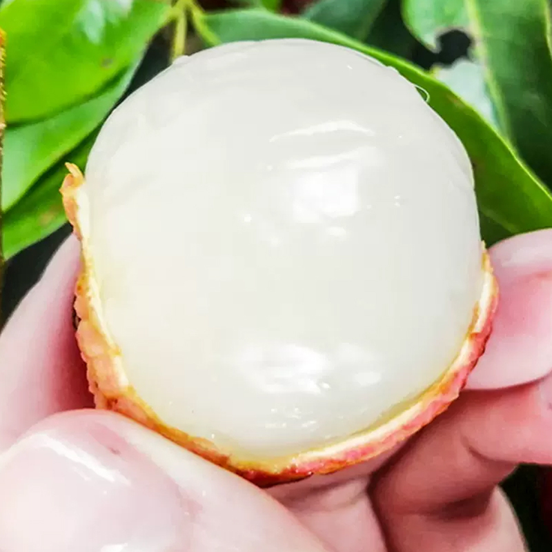 [苏鲜生]新鲜白糖罂荔枝 净重2.5斤 单果18g+高清大图