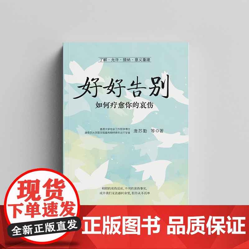 好好告别:如何疗愈你的哀伤停止哀伤|重新快乐起来|让生活回到正轨的心理学帮助高清大图