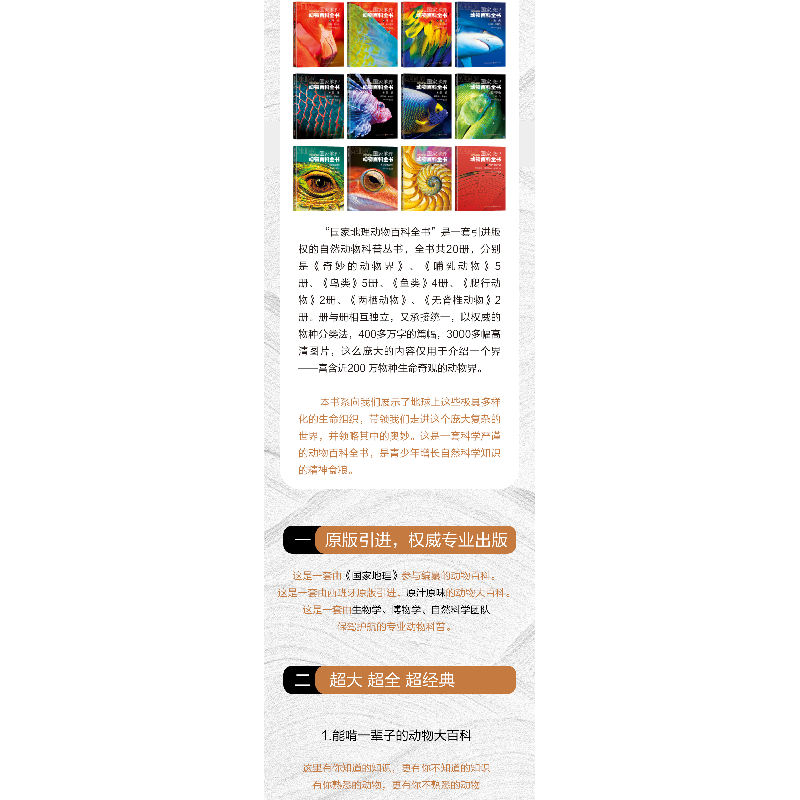 正版新书]国家地理动物百科全书无脊椎动物:软体动物•刺胞动物高清大图