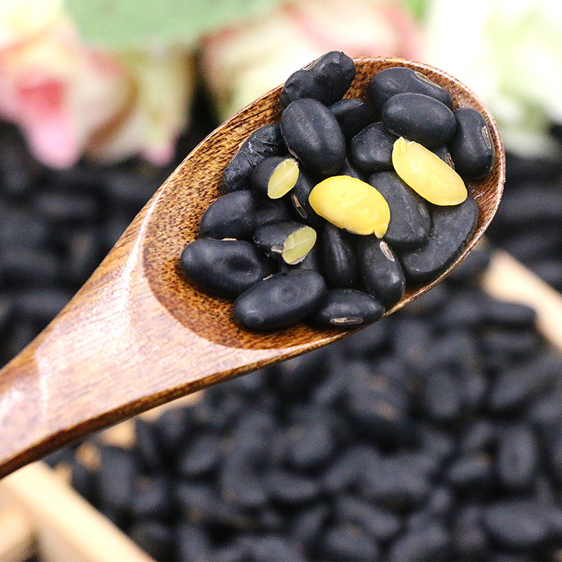桃花峁桃花峁陕北黑豆500g2黄芯小黑豆陕西农家自产黑小豆杂粮粗粮