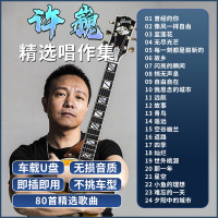 许巍专辑车载随身碟流行经典摇滚8090歌曲无失真高音质车用音乐USB随身碟usb 热销款