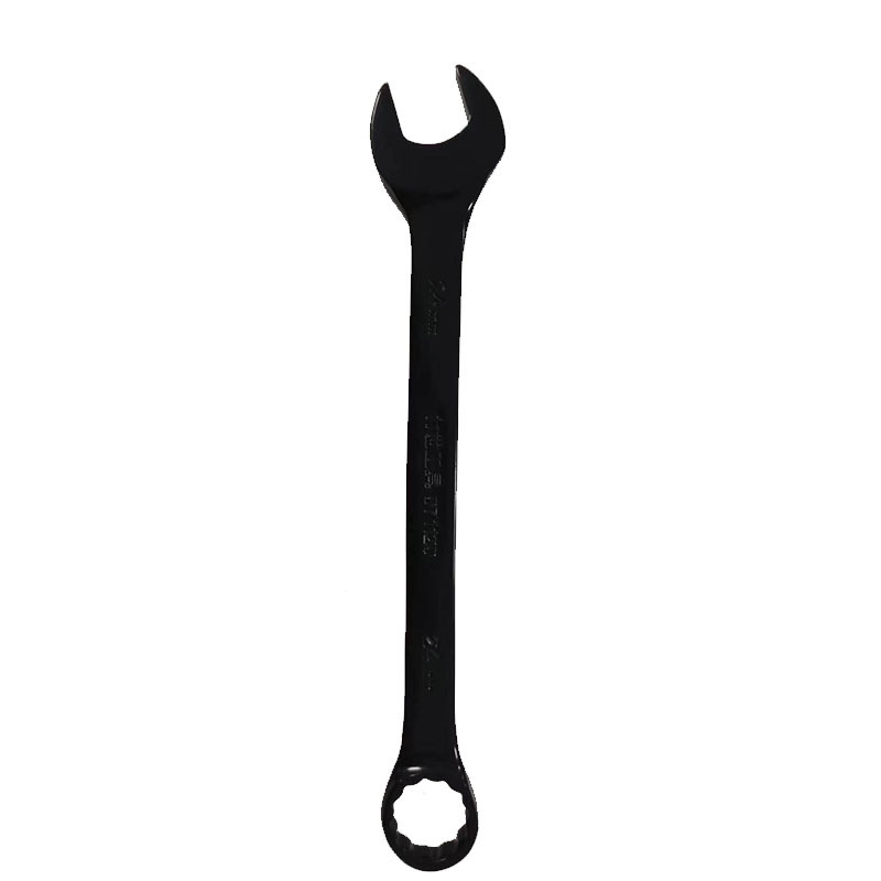力世工具 电泳两用扳手10mm 1把