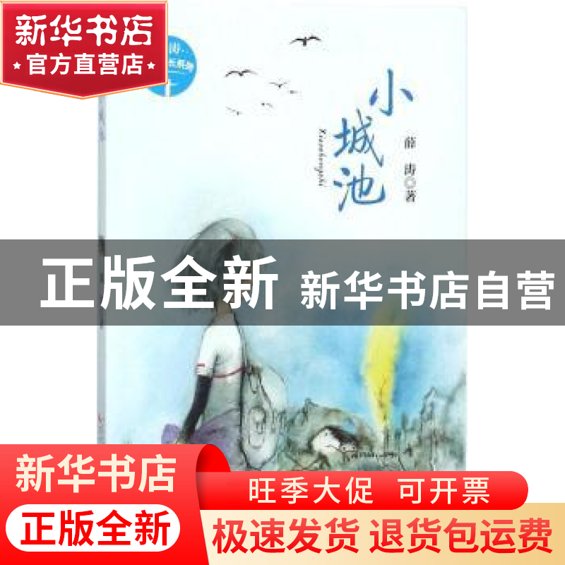 正版 小城池 薛涛著 辽宁少年儿童出版社 9787531575702 书籍高清大图