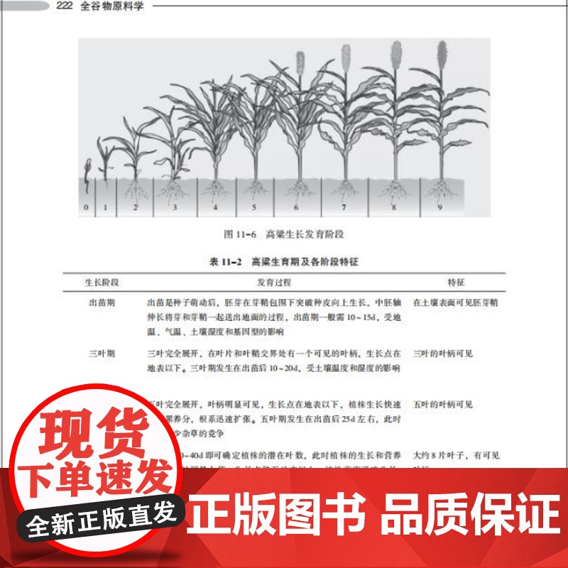 教材.全谷物原料学中国轻工业十四五规划教材/高等学校食品营养与健康专业系列教材仇菊李再贵主编出版年份2024年最新印刷2高清大图