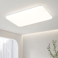 雷士照明客厅灯主卧室房间灯具家用现代简约吸顶灯套餐中山灯具PDD