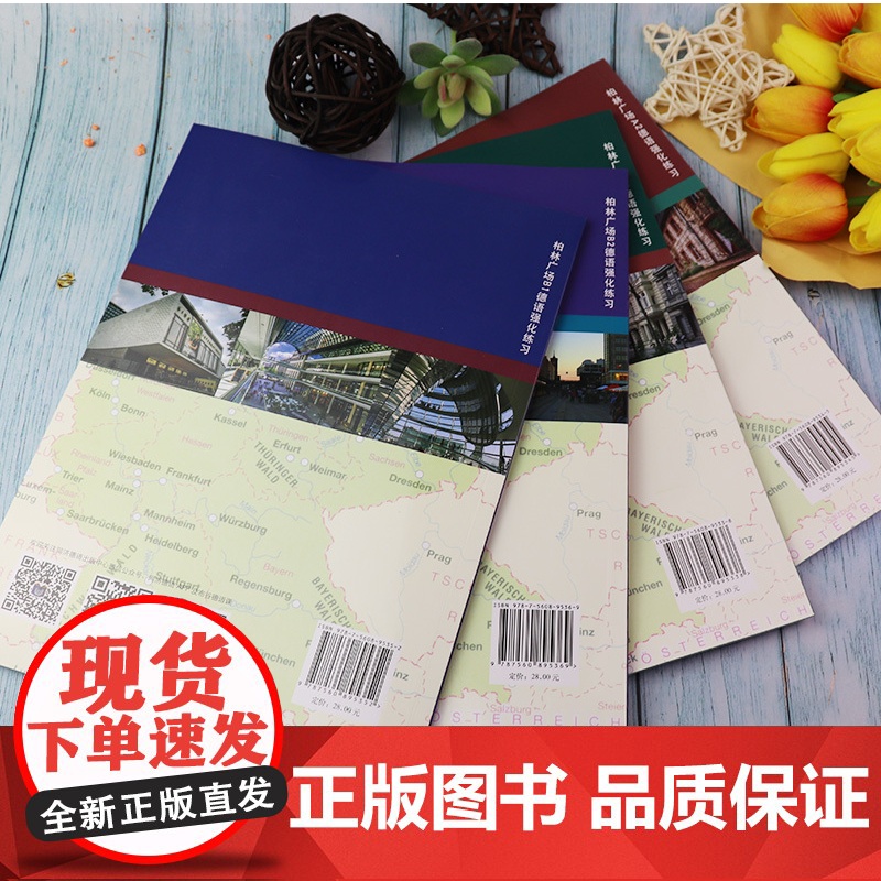 柏林广场A1+A2+B1+B2德语强化练习4本套装 柏林广场强化练习克里斯蒂娜·蕾迈克编 欧标德语经典练习提高学习德语能高清大图