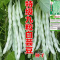 好润青超级九粒白芸豆种子 50粒袋装