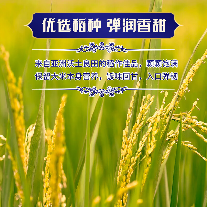太粮/泰粮王府泰国香米5KG高清大图
