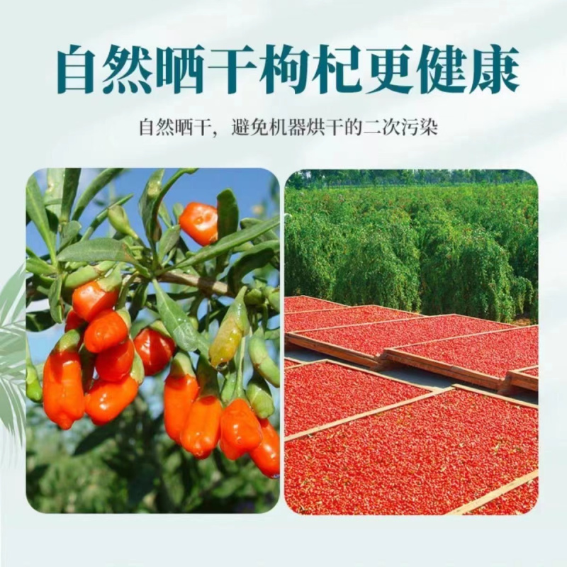 苏宁宜品特级国产枸杞180克X3袋装野生原生态滋补养生佳品高清大图