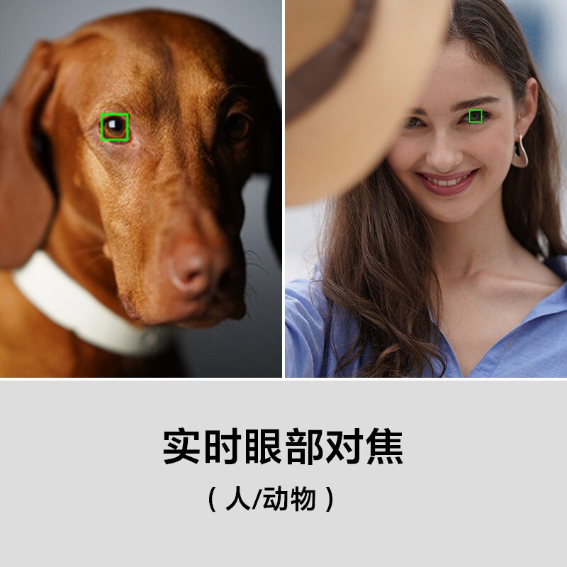 索尼(SONY)Alpha 7R IV全画幅微单数码相机 单机身 画质旗舰 约6100万像素(a7r4a/a7rm4a高清大图