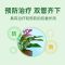 千百季好青闲苯甲吡唑酯花卉植物杀菌剂多肉兰花月季白粉病多菌灵 叶片杀菌/好青闲[1盒]