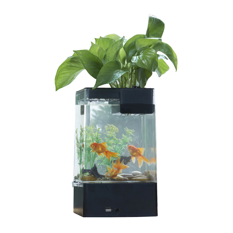 水培植物养鱼缸一体家用塑料创意懒人小型免换水桌面斗鱼专用客厅高清大图