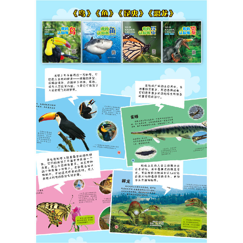 醉染图书我的认知书·鸟9787531579298高清大图