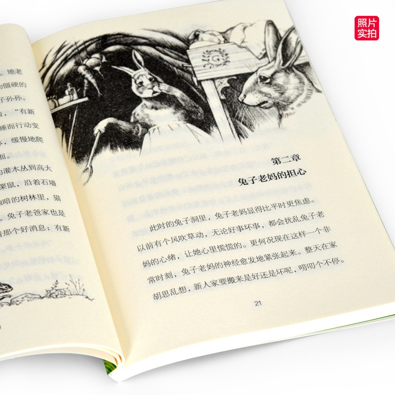 木头娃娃旅行记 [正版]全8册 兔子坡 常青藤国际大奖小说系列 纽伯瑞儿童文学读物 励志成长故事书 7-15岁中小学生高清大图