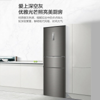 海尔(Haier)253升 三门冰箱 变频无霜 一级能效 干湿分储 节能低音 小冰箱租房 BCD-253WDPDU1