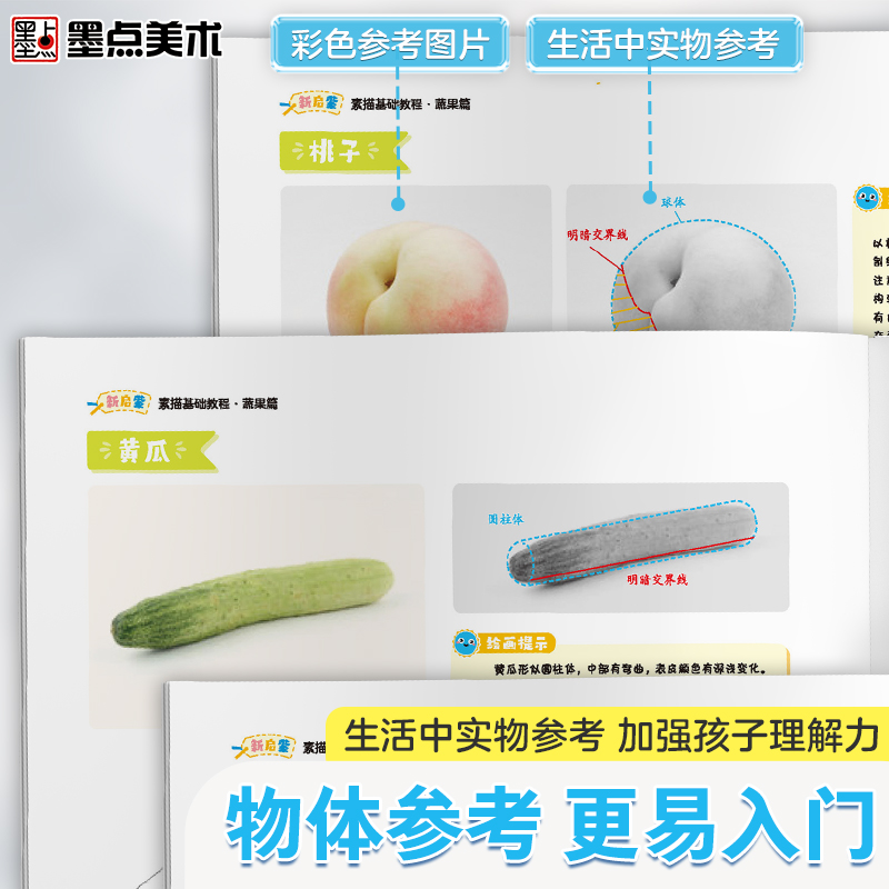 [正版]墨点美术新启蒙素描基础教程蔬果素描零基础学生素描绘画入门教程书籍带视频教学单体静物实物结构明暗排线结构绘图铅笔绘高清大图