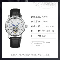 海鸥表(SEAGULL)手表 男 飞轮系列 休闲 时尚 自动机械表 男士手表819.317 白盘日历